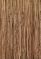 Goscote olivewood woodgrain