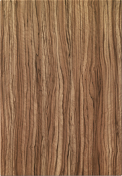 Goscote olivewood woodgrain