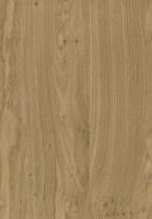 PVC edged woodgrain light winchester oak